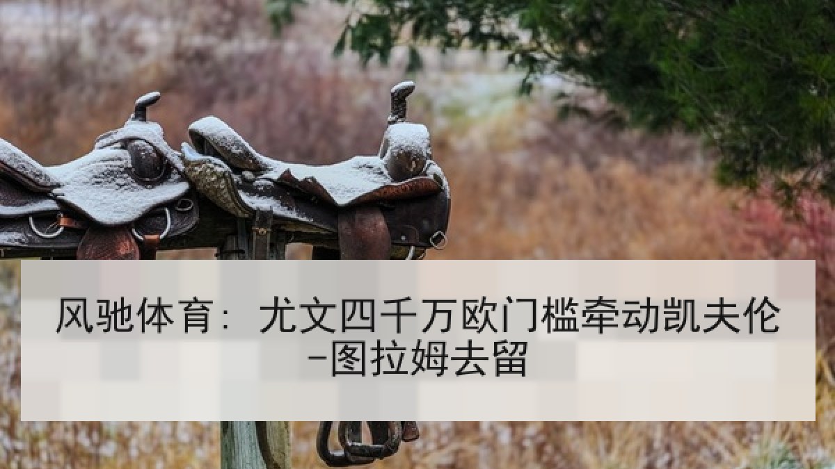 风驰体育: 尤文四千万欧门槛牵动凯夫伦-图拉姆去留