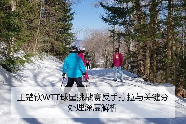 王楚钦WTT球星挑战赛反手拧拉与关键分处理深度解析