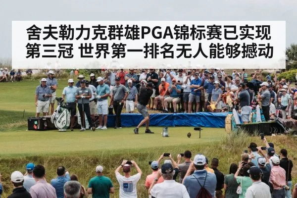 舍夫勒力克群雄PGA锦标赛已实现第三冠 世界第一排名无人能够撼动