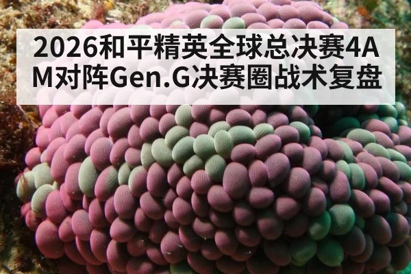 2026和平精英全球总决赛4AM对阵Gen.G决赛圈战术复盘